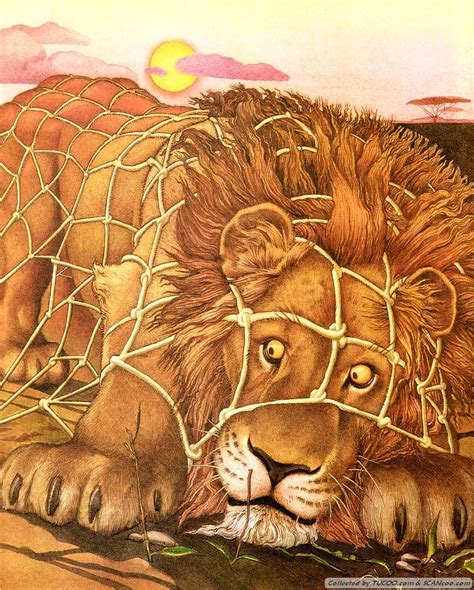  In the Skin of a Lion:  A Tale of Immigration, Love, and the Fragile Nature of Human Existence