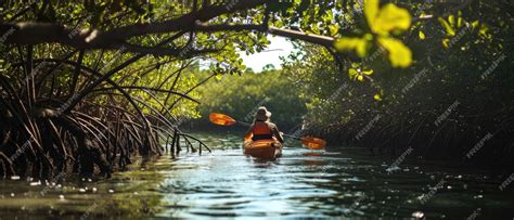  Rhizophora: A Poetic Exploration of Coastal Mangrove Ecosystems